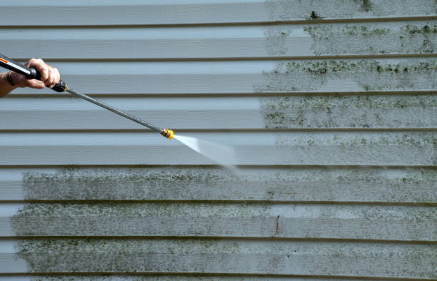 Trusted North Springfield, VA Pressure Washing Services Experts